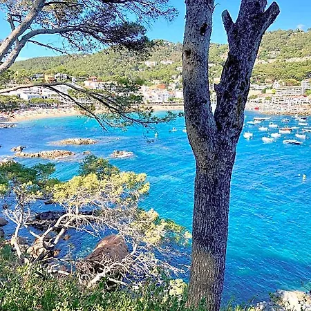 Apartament 1kim01 - Llafranc Palafrugell