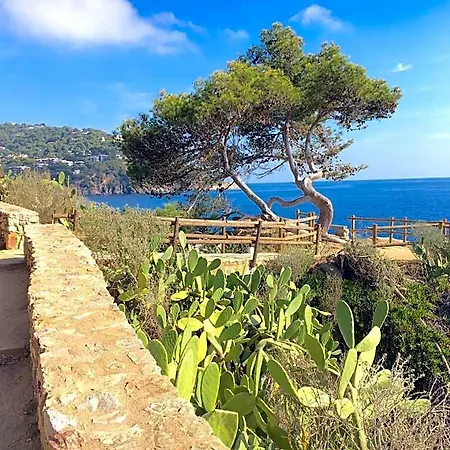 1kim01 - Llafranc Palafrugell
